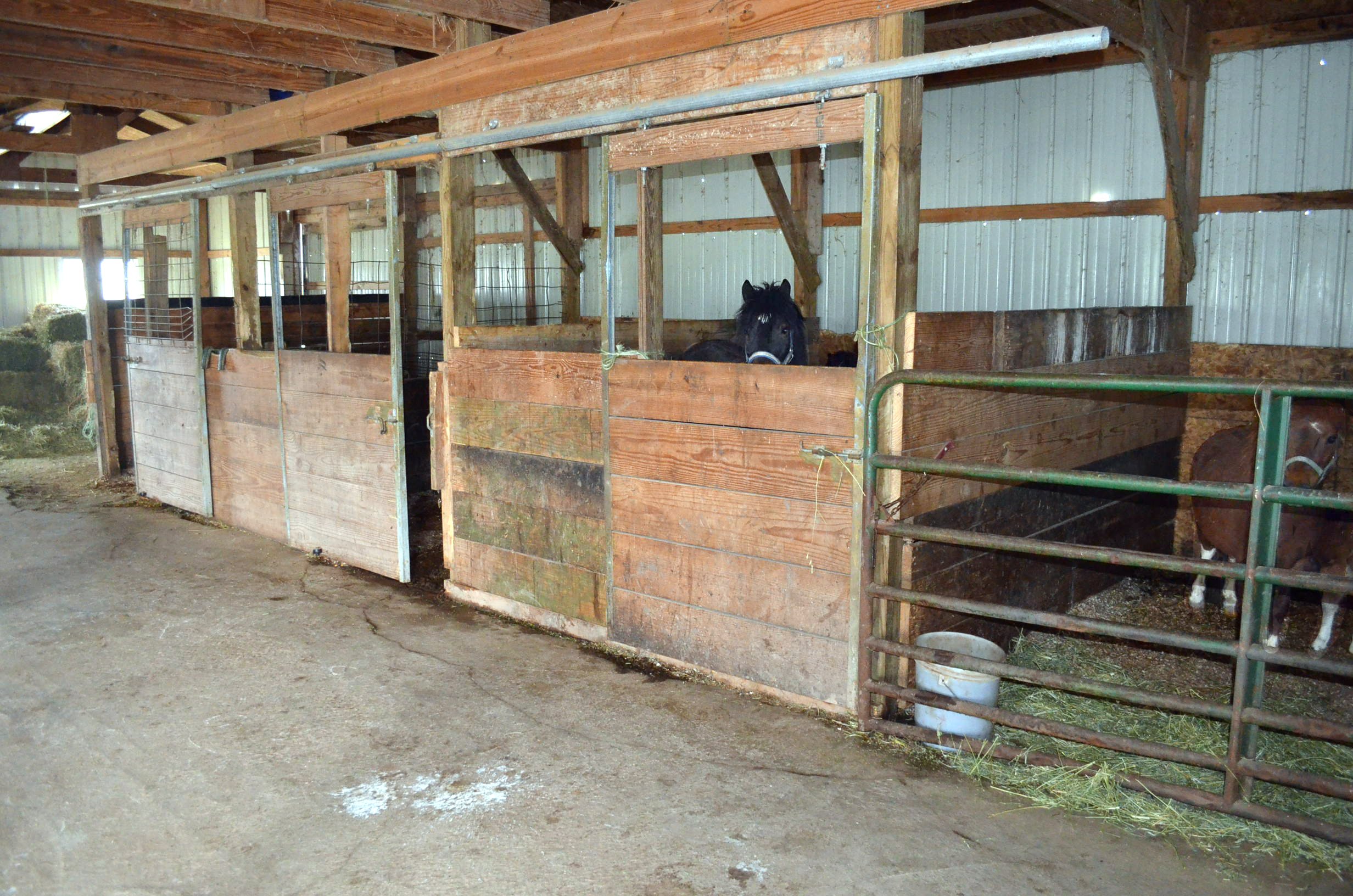 Property photo 2 - Amish Farm Auction - 7 Bedroom 2 Bathroom Home